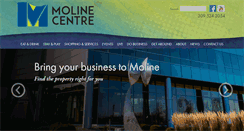 Desktop Screenshot of molinecentre.org